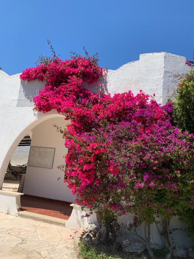 Villa Cecilia Polignano a Mare Exteriér fotografie